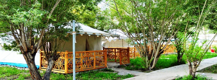 Nubra Ethnic Camp & Resort - Nubra 01.jpg